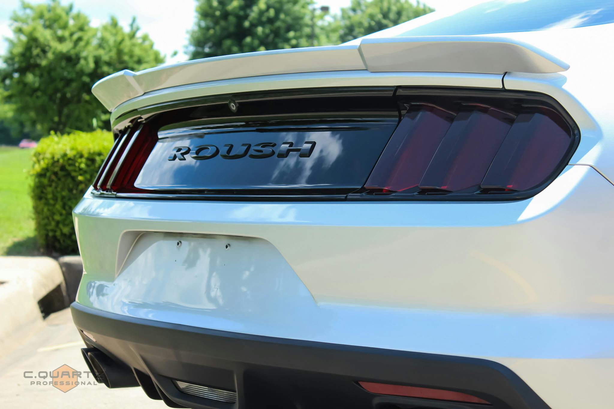 201517 Mustang/Shelby Tail Light Tint Kit